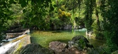 Enlarge photo 495