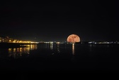 Enlarge photo 380