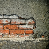 Enlarge photo 279