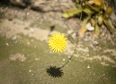 Enlarge photo 311