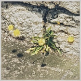 Enlarge photo 314