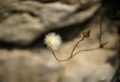 Enlarge photo 316