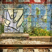 Enlarge photo 354