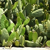 Enlarge photo 359