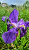 Enlarge photo 26
