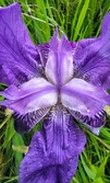 Enlarge photo 27