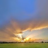 Enlarge photo 41