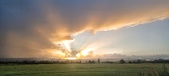 Enlarge photo 39