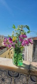 Enlarge photo 46
