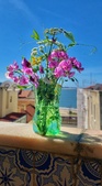 Enlarge photo 47
