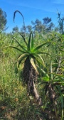 Enlarge photo 55