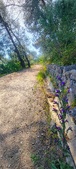 Enlarge photo 59