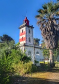 Enlarge photo 61