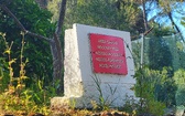 Enlarge photo 64