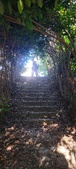 Enlarge photo 74