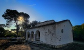 Enlarge photo 86
