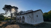 Enlarge photo 85