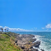 Enlarge photo 87