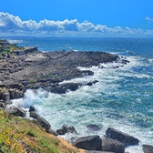 Enlarge photo 90