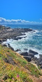 Enlarge photo 88