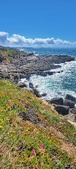Enlarge photo 91