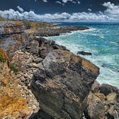 Enlarge photo 98