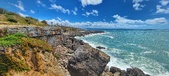 Enlarge photo 99
