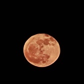 Enlarge photo 190