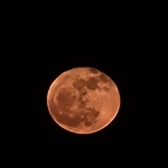 Enlarge photo 189