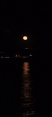 Enlarge photo 192