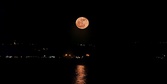 Enlarge photo 205