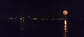 Enlarge photo 206
