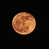 Enlarge photo 200