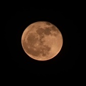 Enlarge photo 199