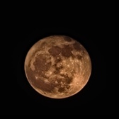 Enlarge photo 204