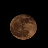 Enlarge photo 203