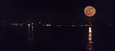 Enlarge photo 207