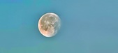 Enlarge photo 215