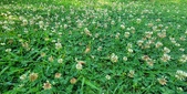 Enlarge photo 327