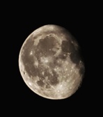 Enlarge photo 382