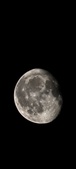 Enlarge photo 381
