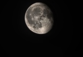 Enlarge photo 386