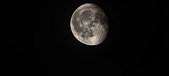 Enlarge photo 385