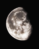 Enlarge photo 387