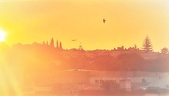Enlarge photo 394
