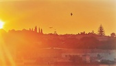 Enlarge photo 393