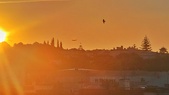 Enlarge photo 392