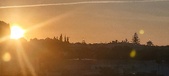 Enlarge photo 395