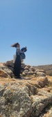 Enlarge photo 410