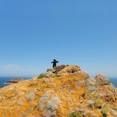 Enlarge photo 418